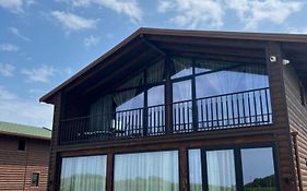 Posh Villa 1